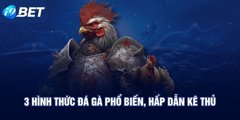 3 hình thức đá gà phổ biến, hấp dẫn kê thủ