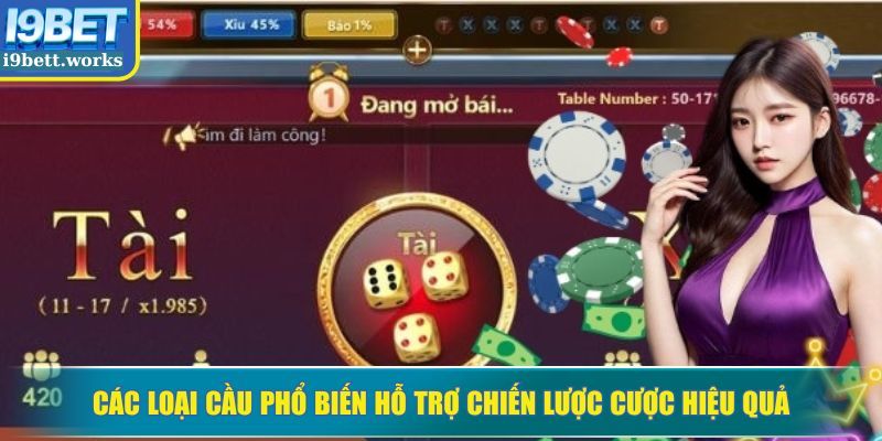 Các loại cầu phổ biến hỗ trợ chiến lược cược hiệu quả
