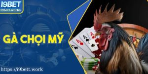 Tìm Hiểu Gà Chọi Mỹ: Sức Mạnh Vô Song & Đỉnh Cao Tại I9BET