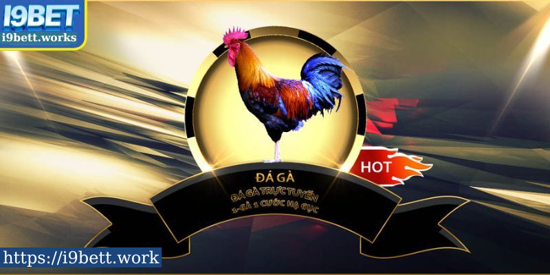 Kèo cược hấp dẫn trong đá gà I9BET