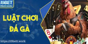 Luật Chơi Đá Gà Chuẩn I9bet Và Bí Quyết Thắng Đều Tay