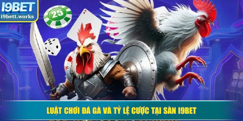 Luật chơi đá gà và tỷ lệ cược tại sàn I9BET