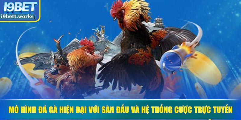 Mô hình đá gà hiện đại với sàn đấu và hệ thống cược trực tuyến