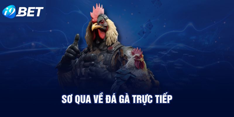 Sơ qua về đá gà trực tiếp