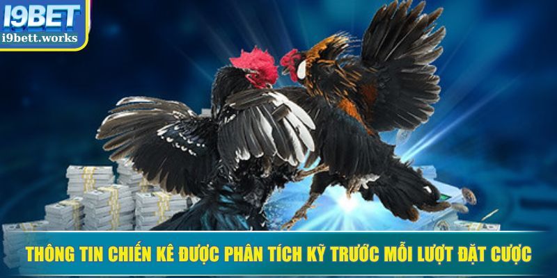 Thông tin chiến kê được phân tích kỹ trước mỗi lượt đặt cược